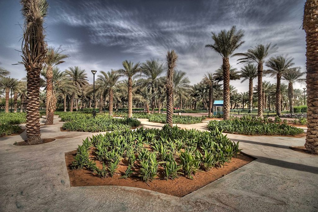 Riyadh Diplomatic Quarter Construction, Landscape Contractors In Riyadh